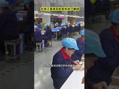 মেকআপ ব্রাশ পেশাদার